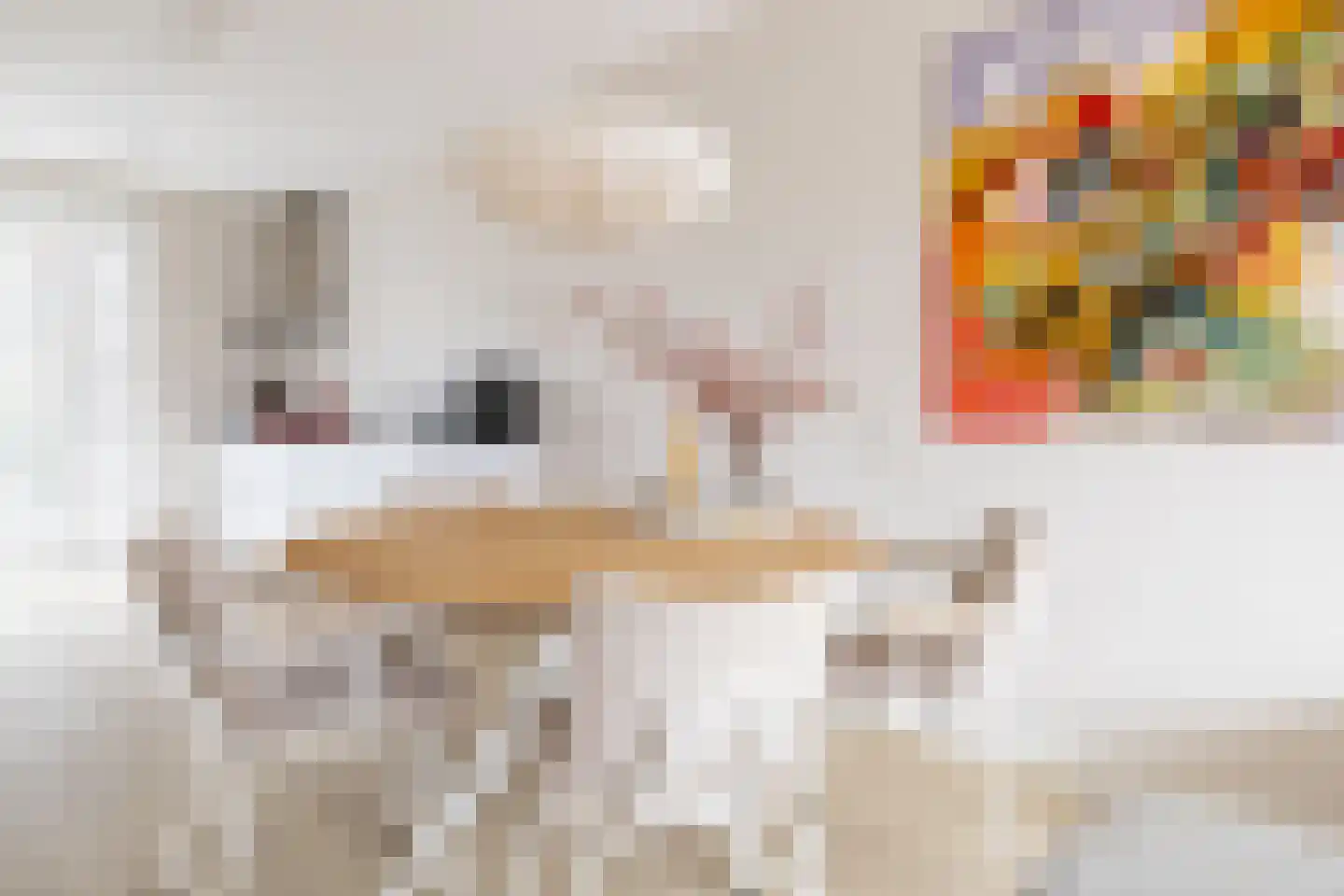 Notarisappel 54 Kampen thumbnail 13