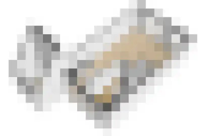 Notarisappel 54 Kampen thumbnail 20