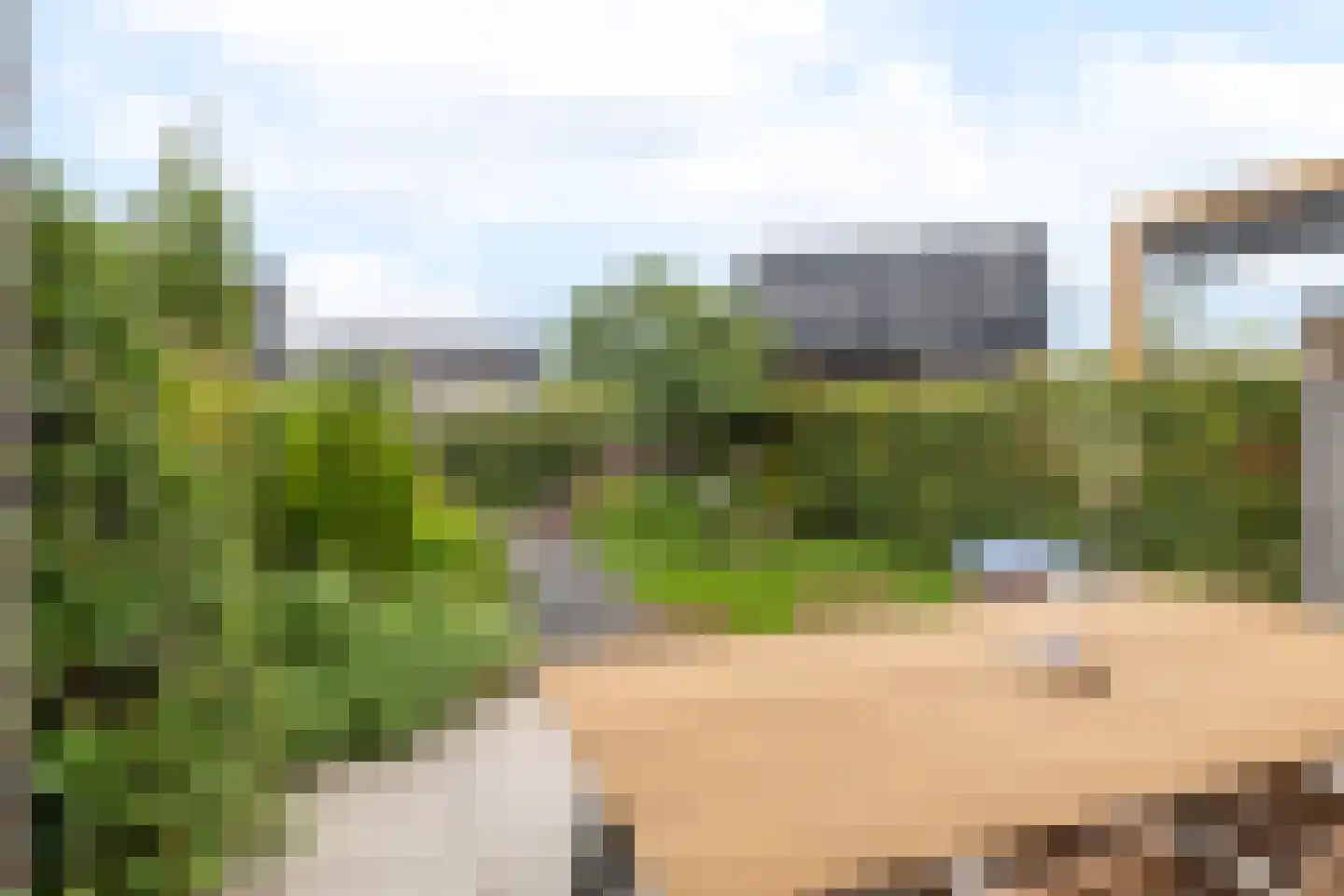 Notarisappel 54 Kampen thumbnail 43