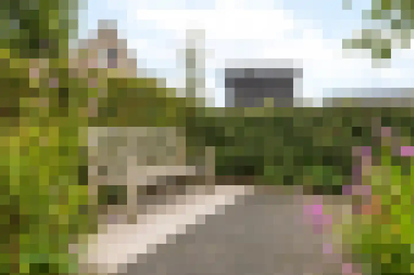 Notarisappel 54 Kampen thumbnail 45