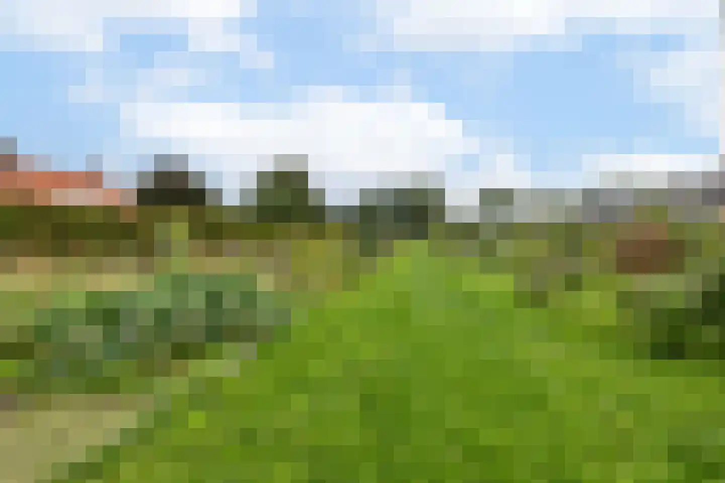 Notarisappel 54 Kampen thumbnail 53