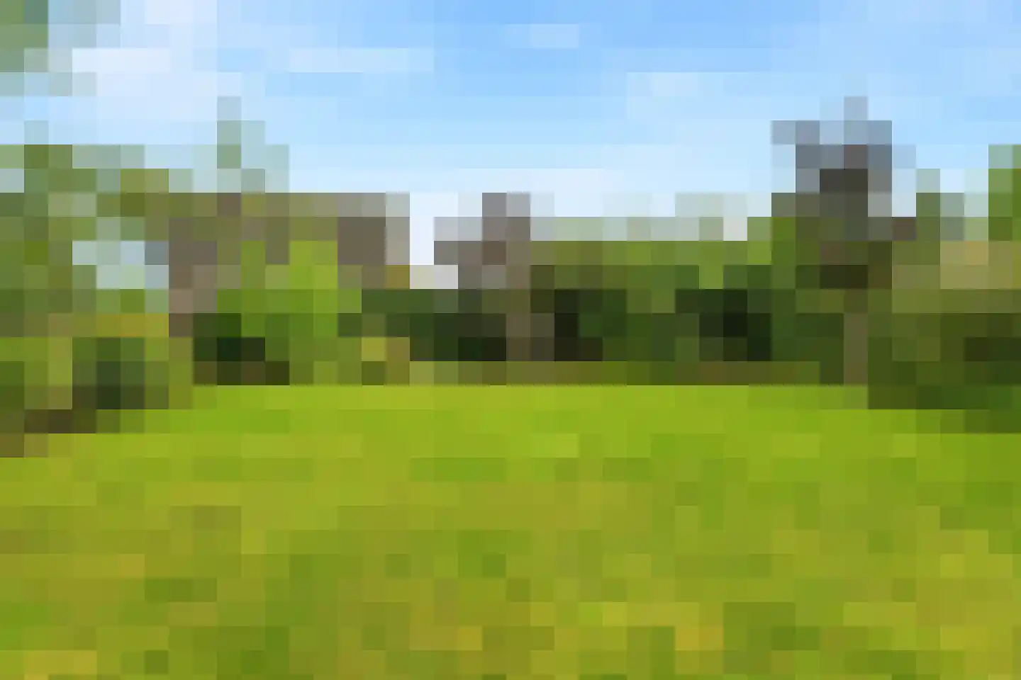 Notarisappel 7 Elst thumbnail 12