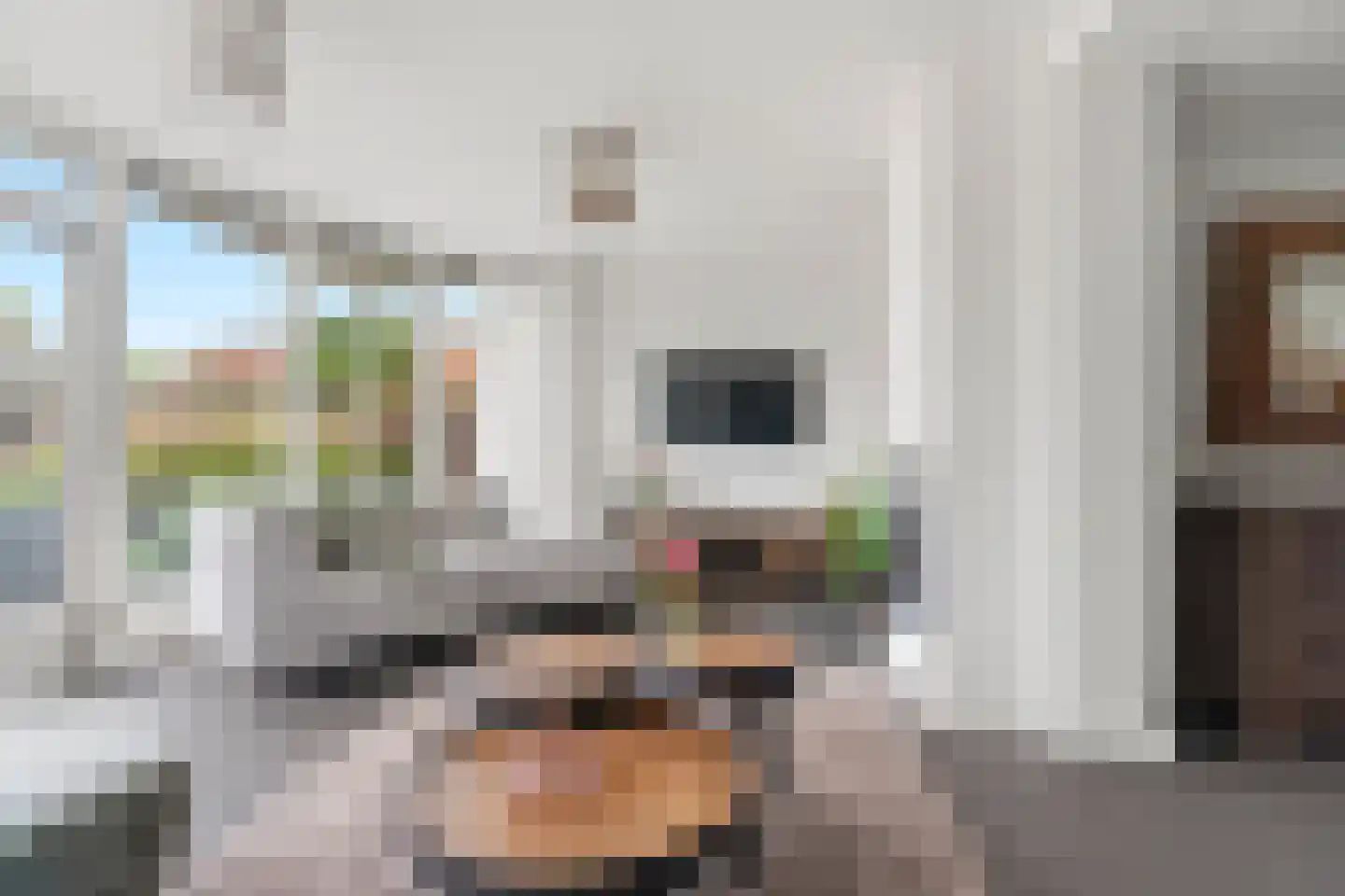Notarisappel 7 Elst thumbnail 15