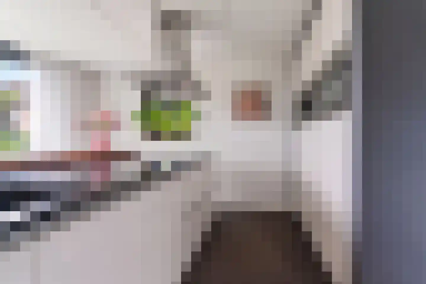 Notarisappel 7 Elst thumbnail 20
