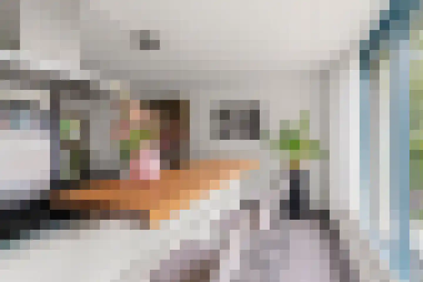 Notarisappel 7 Elst thumbnail 21