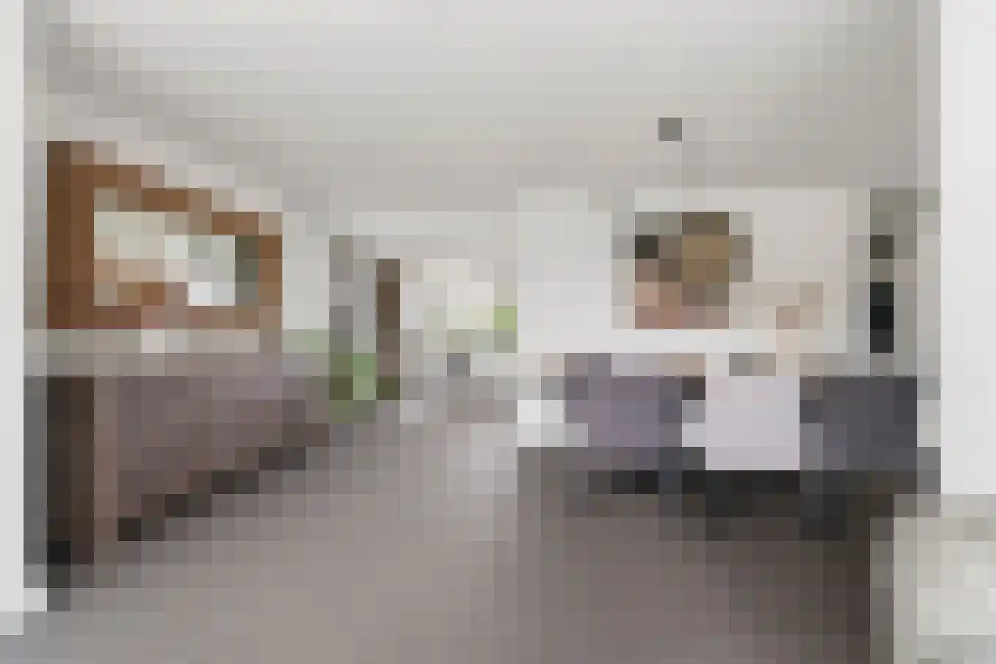 Notarisappel 7 Elst thumbnail 22