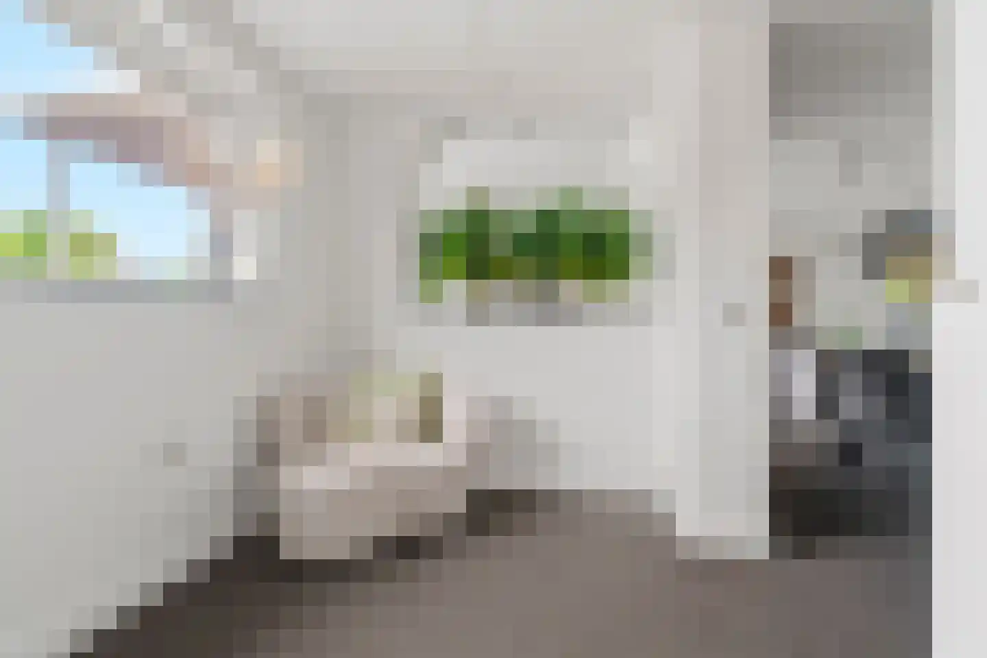 Notarisappel 7 Elst thumbnail 25