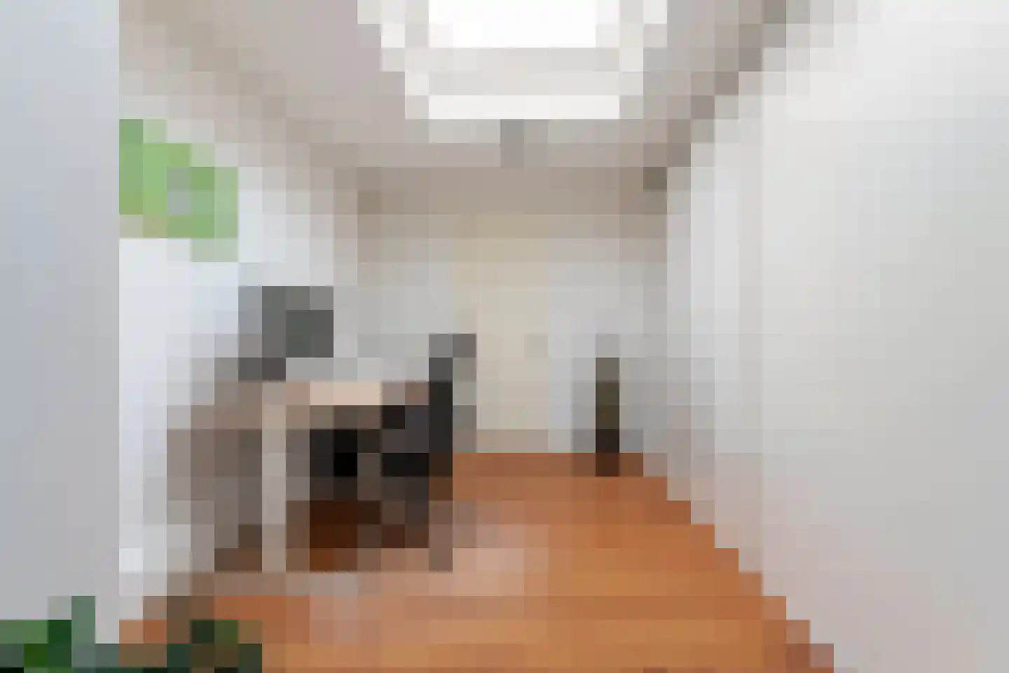Notarisappel 7 Elst thumbnail 27