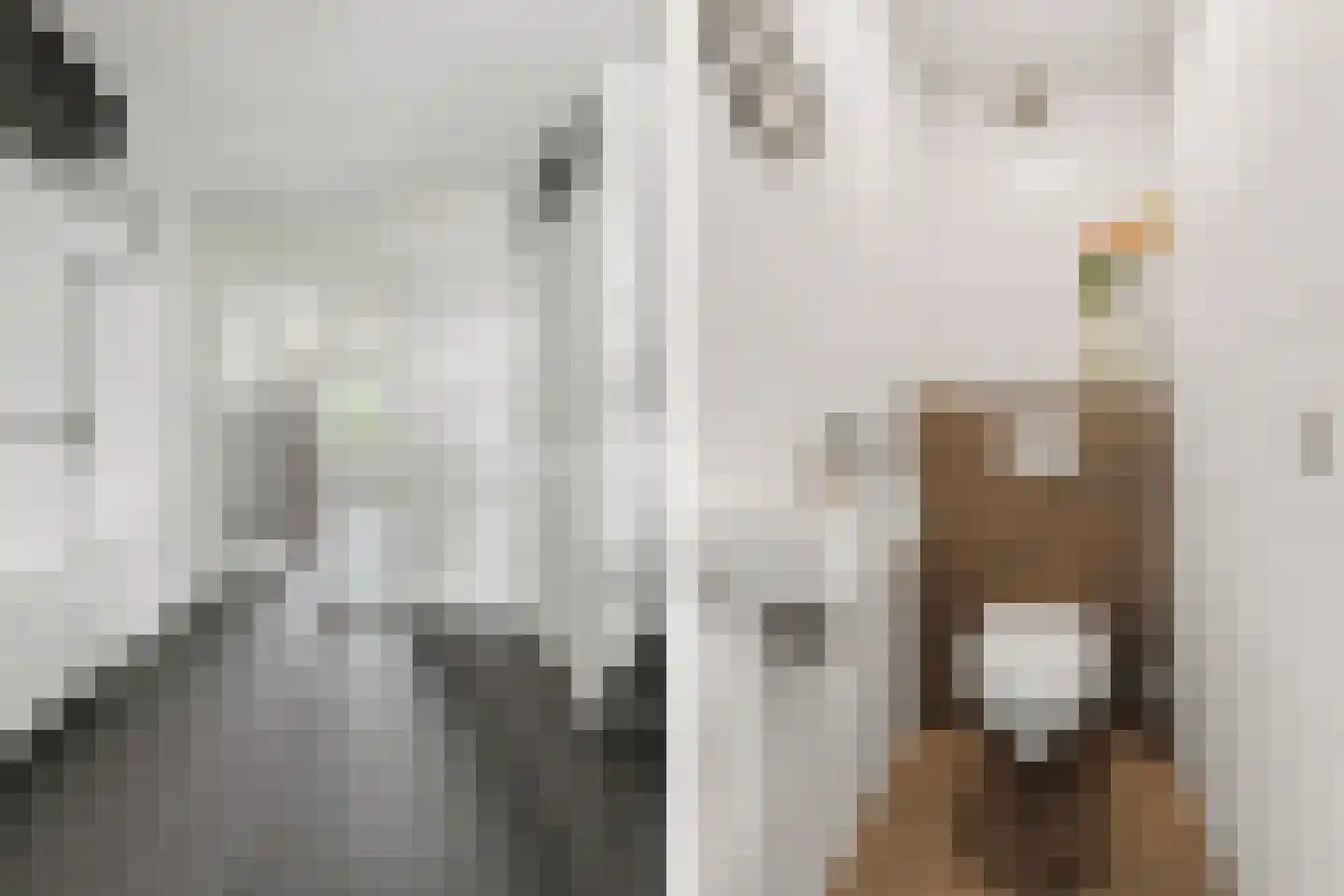 Notarisappel 7 Elst thumbnail 29