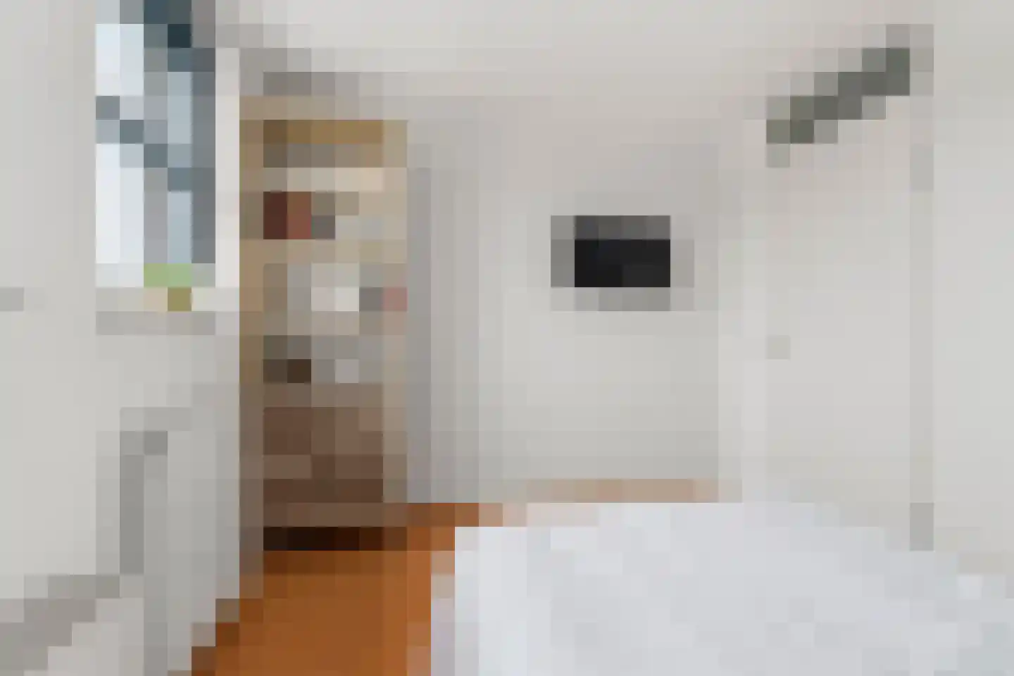 Notarisappel 7 Elst thumbnail 41