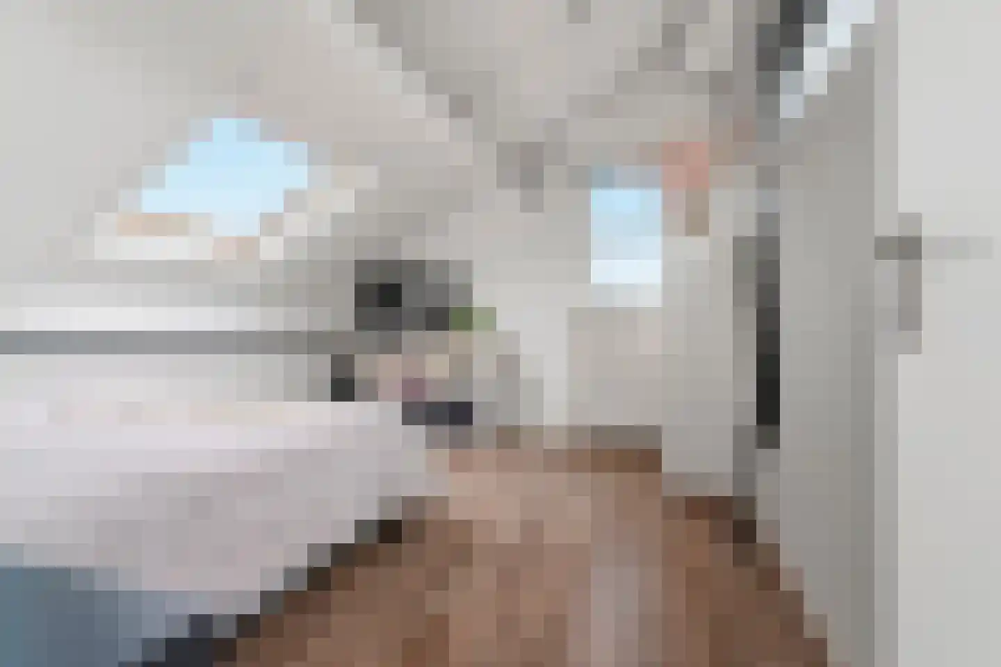 Notarisappel 7 Elst thumbnail 46