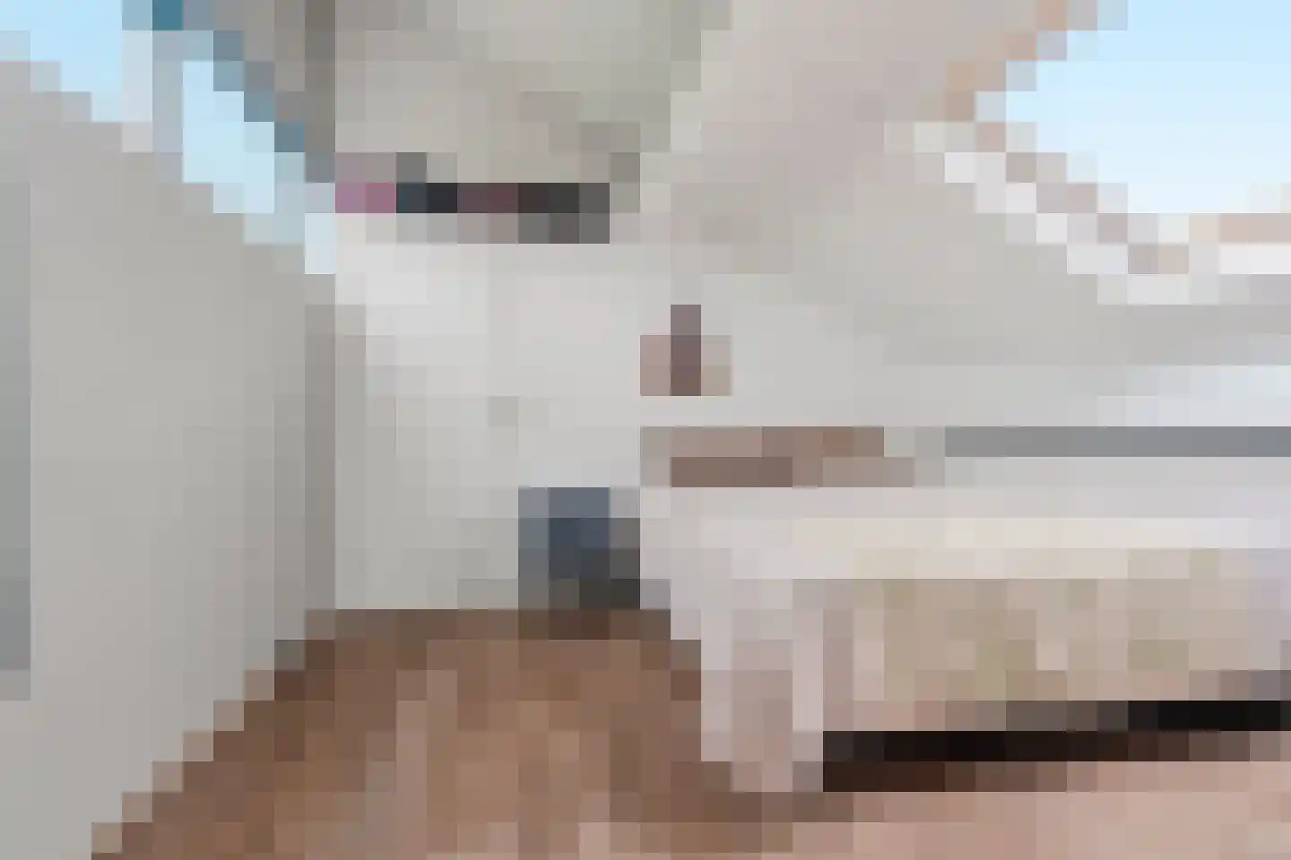 Notarisappel 7 Elst thumbnail 47