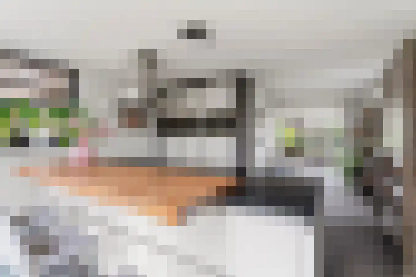 Notarisappel 7 Elst thumbnail 5