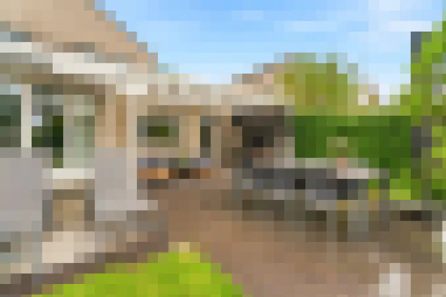 Notarisappel 7 Elst thumbnail 50