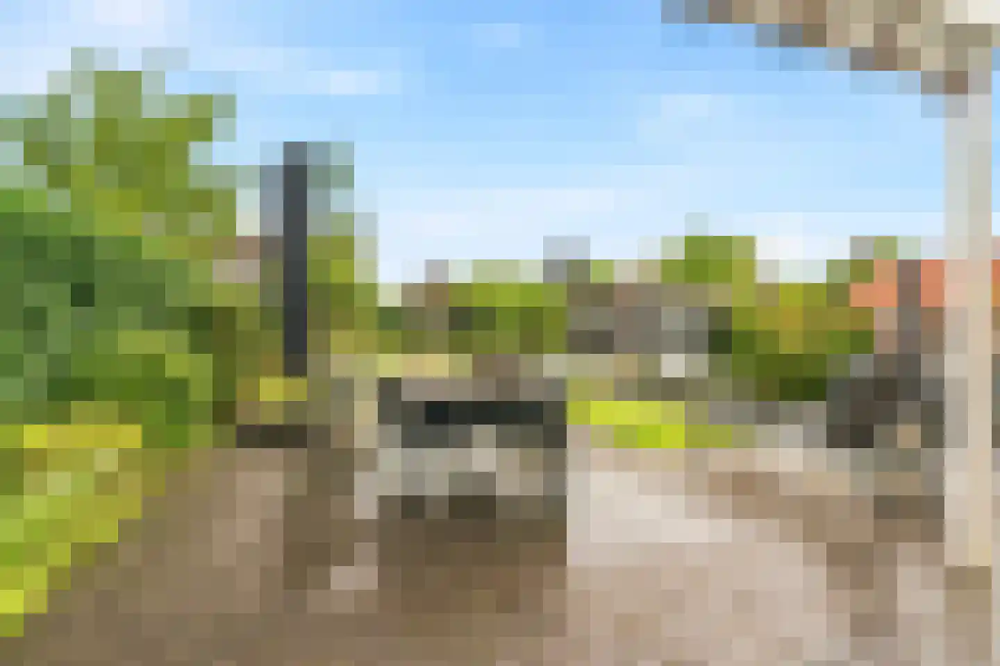 Notarisappel 7 Elst thumbnail 51