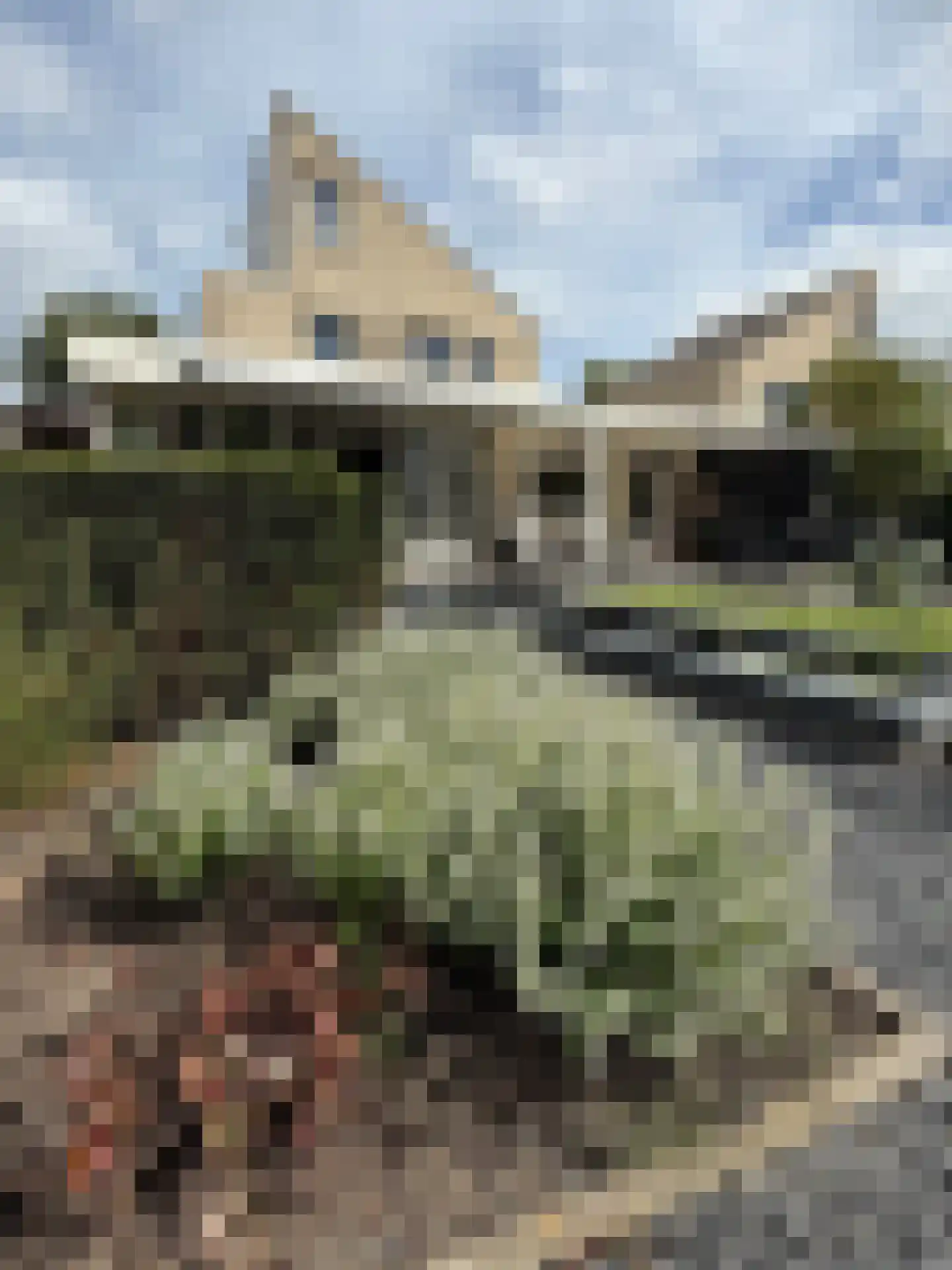 Notarisappel 7 Elst thumbnail 56