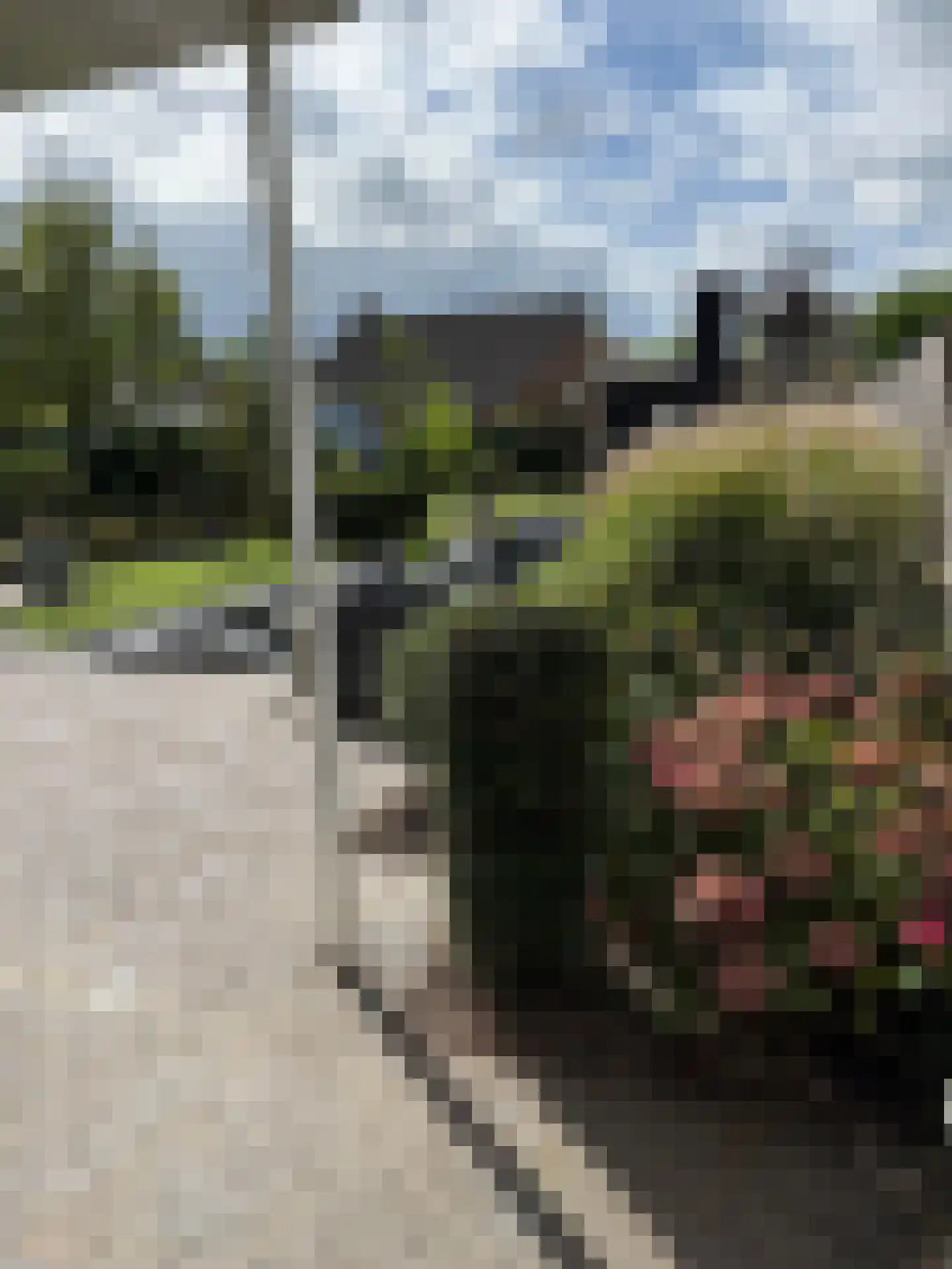 Notarisappel 7 Elst thumbnail 57