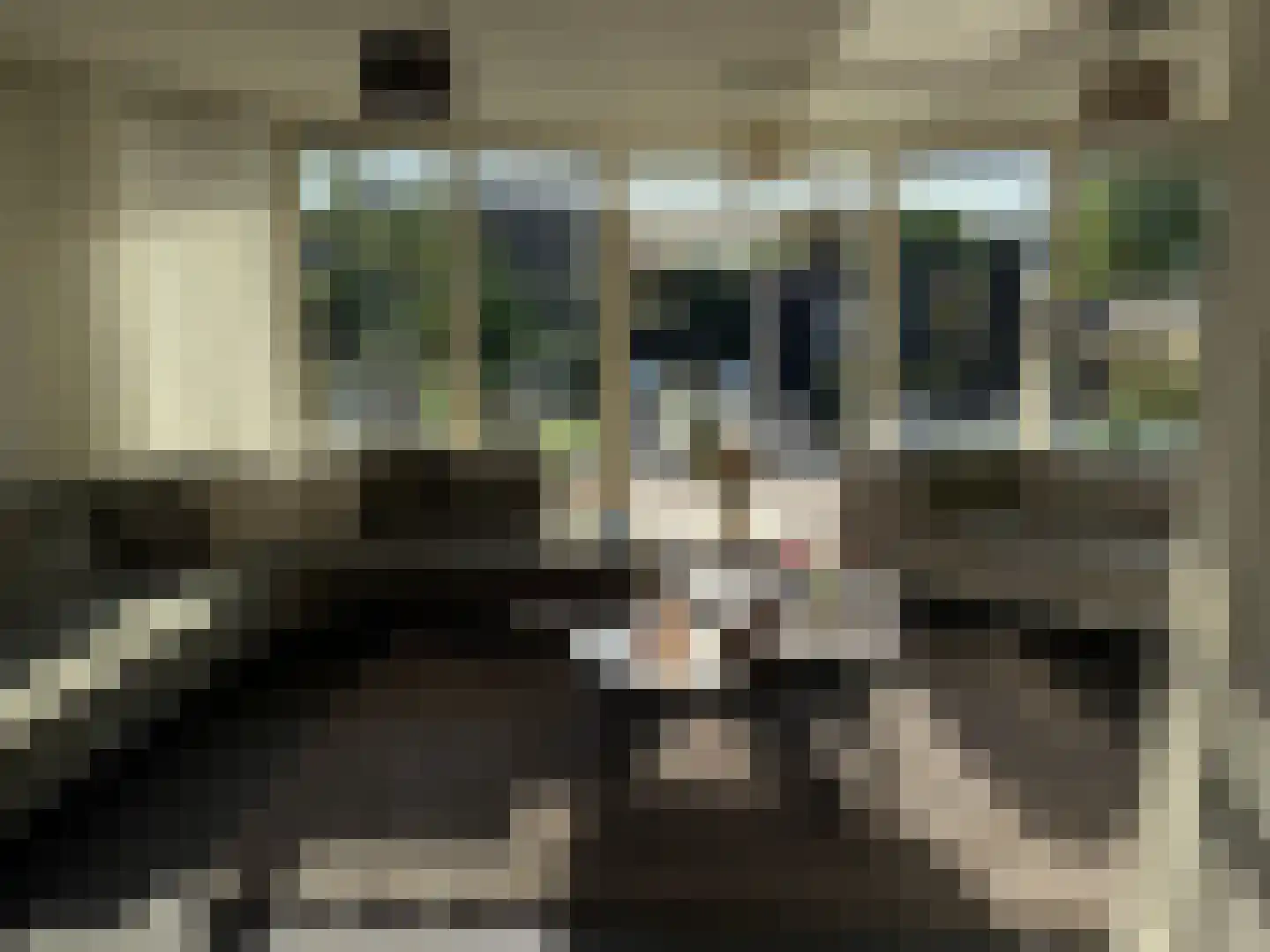 Notarisappel 7 Elst thumbnail 7