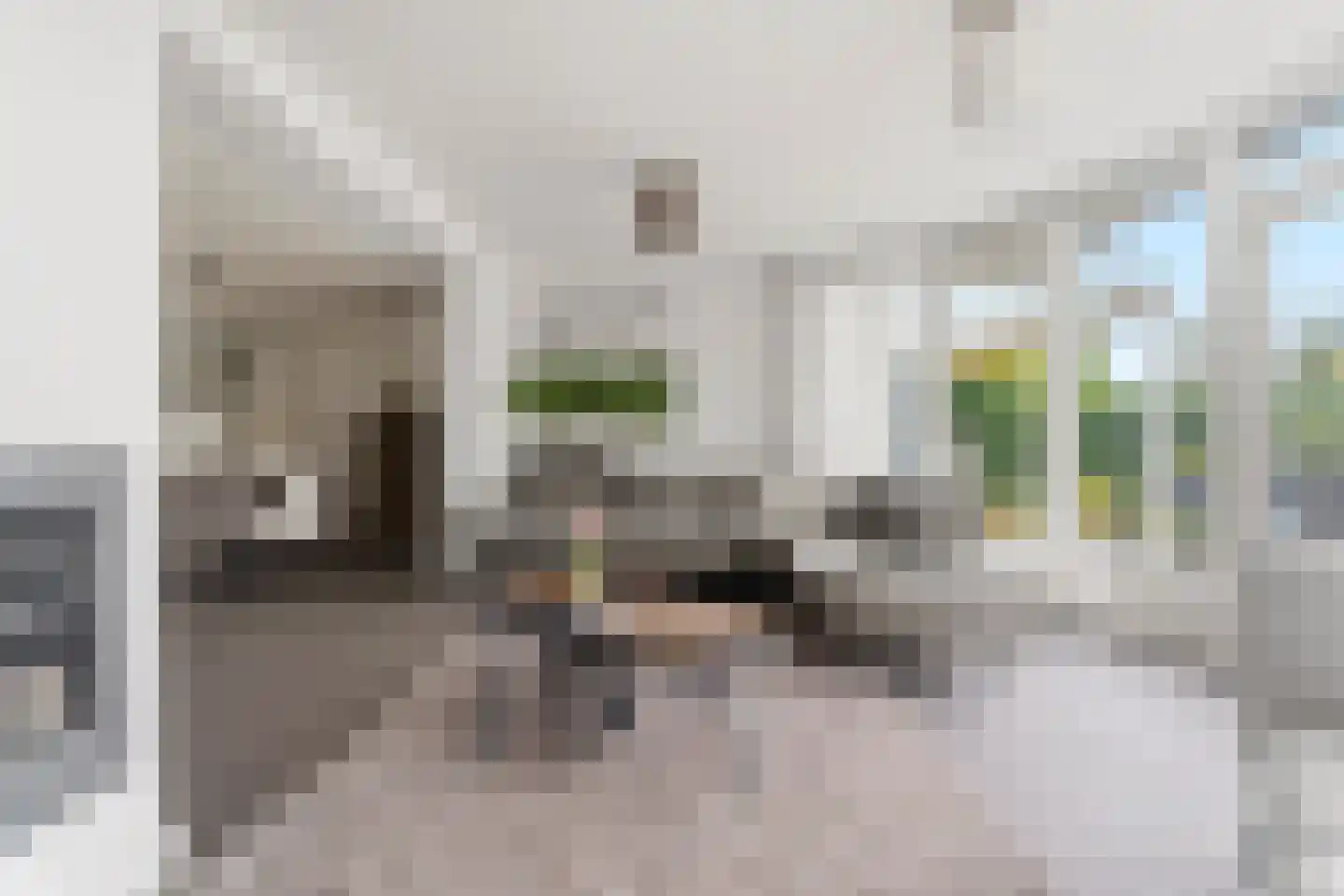 Notarisappel 7 Elst thumbnail 9