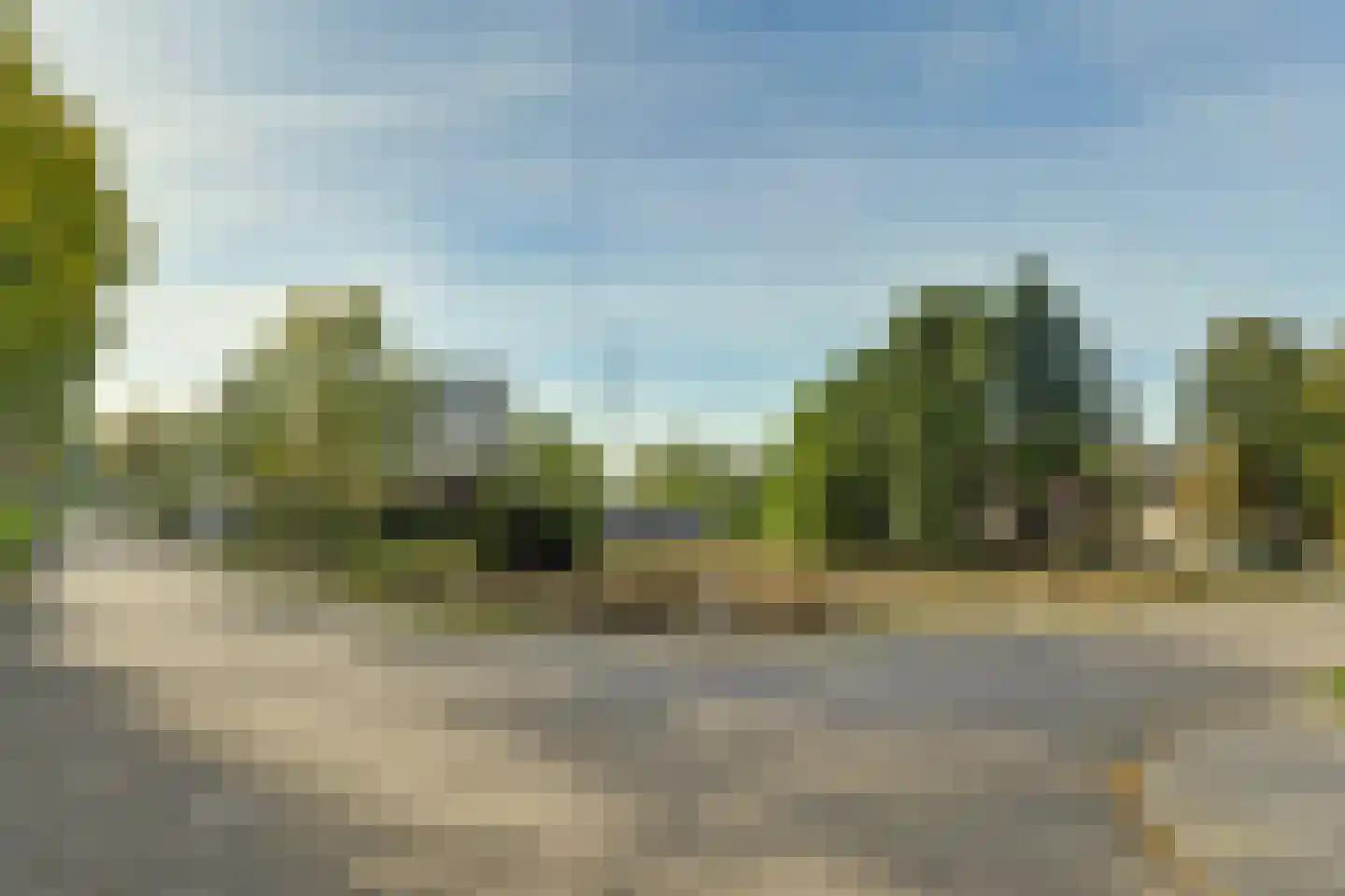 Notarisappel 9 Elst