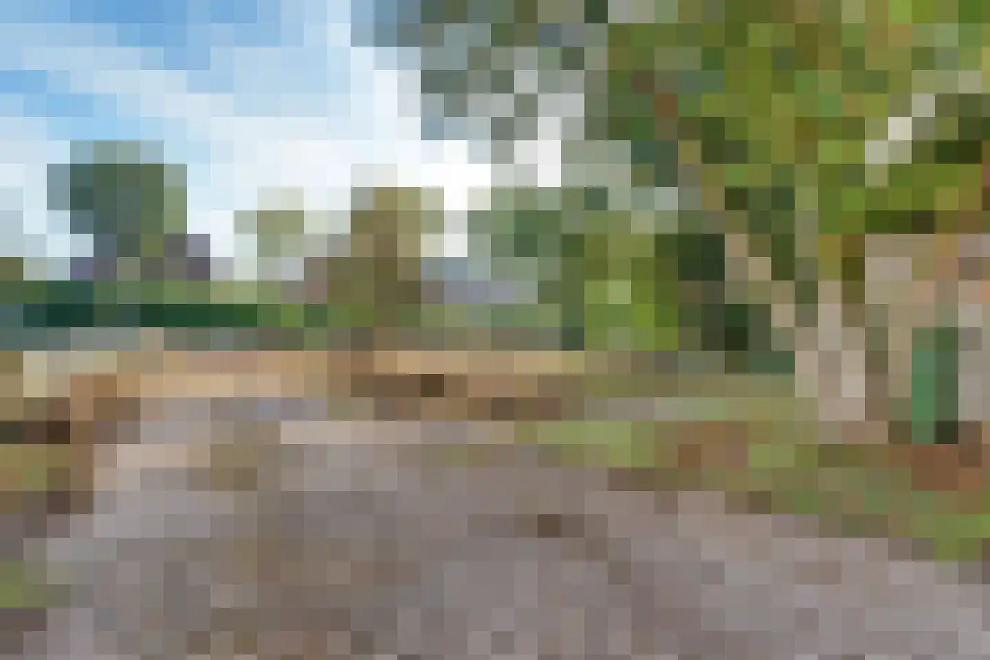 Notarisappel 9 Elst thumbnail 10