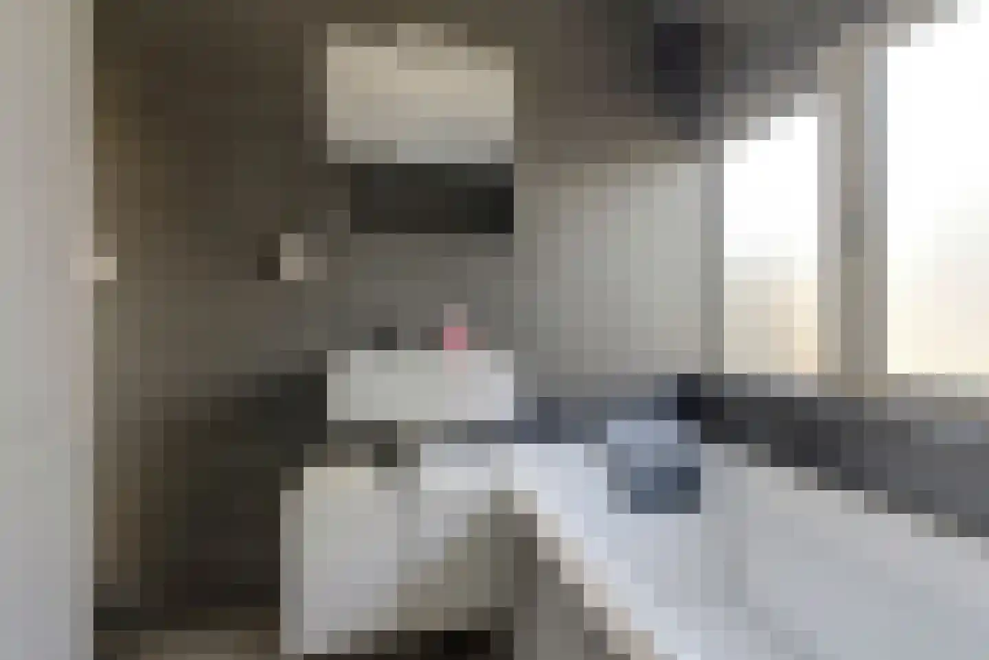 Notarisappel 9 Elst thumbnail 16