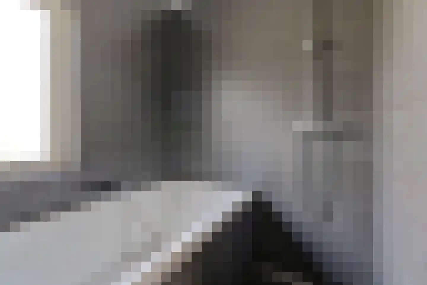 Notarisappel 9 Elst thumbnail 17