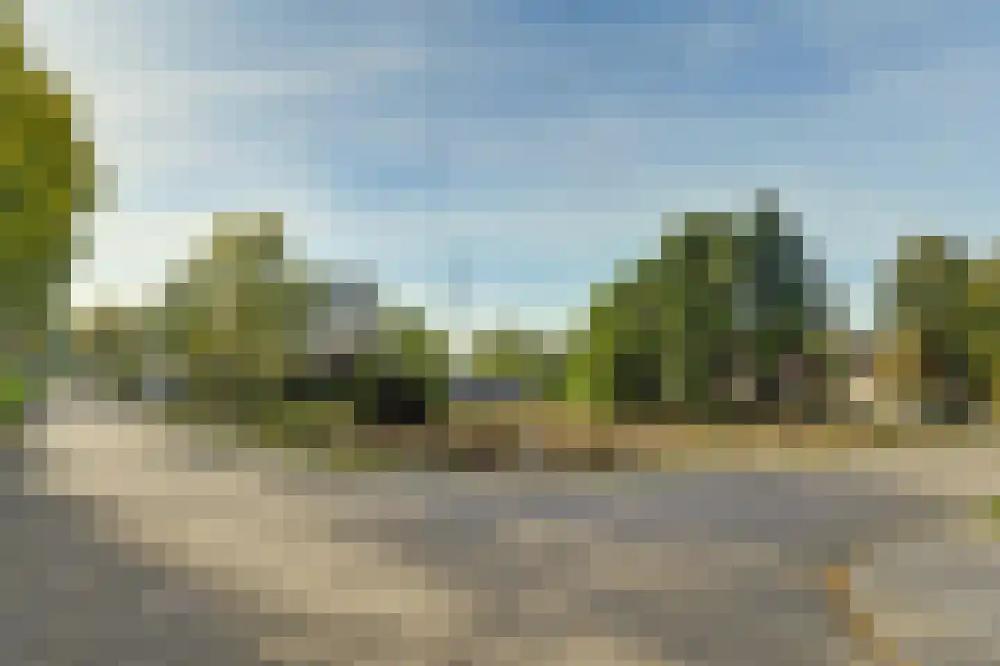 Notarisappel 9 Elst foto 2