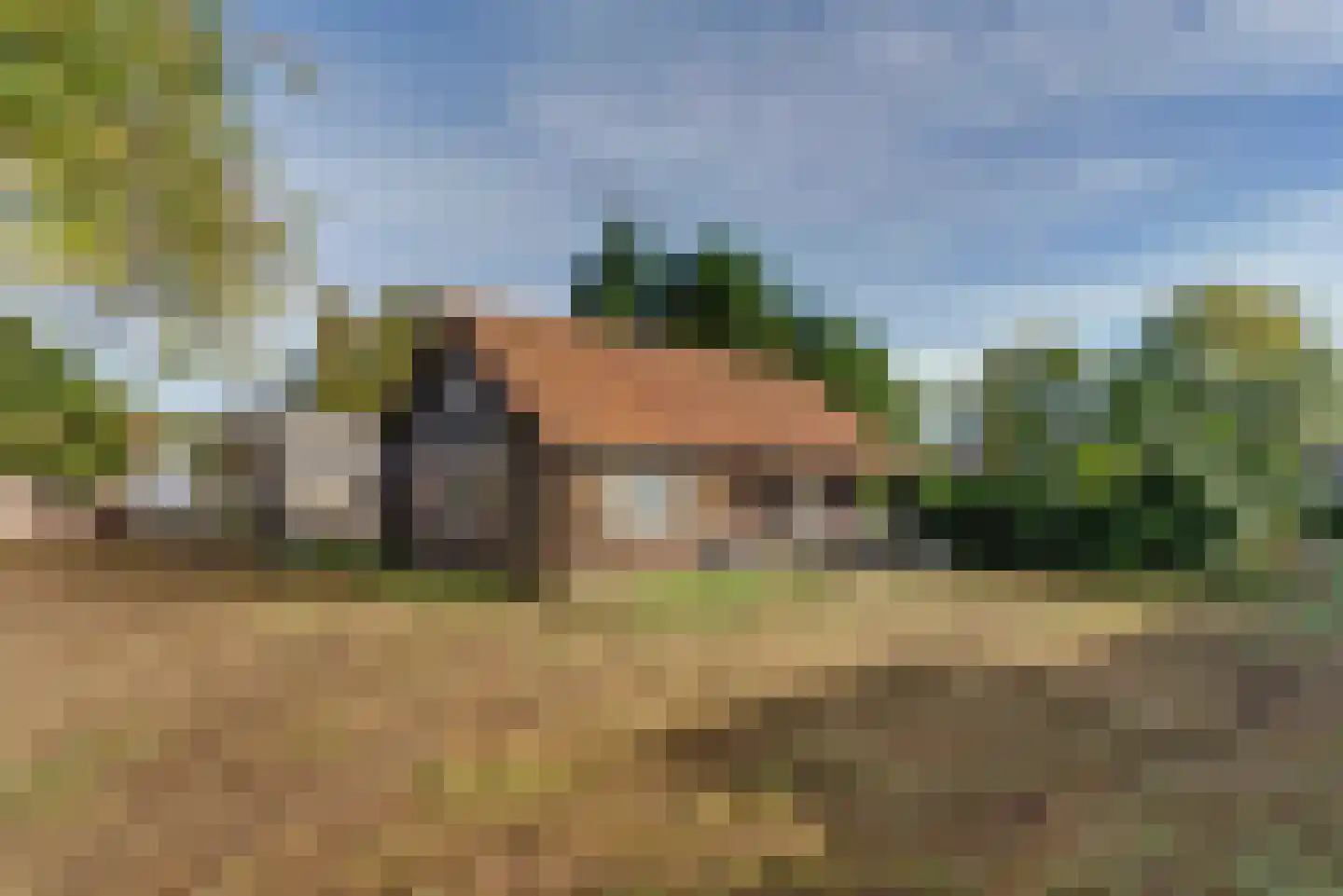 Notarisappel 9 Elst foto 3