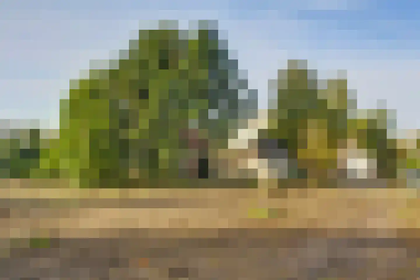 Notarisappel 9 Elst thumbnail 4