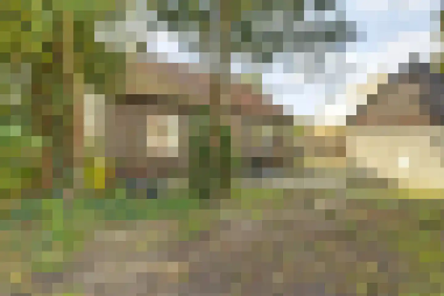Notarisappel 9 Elst thumbnail 5