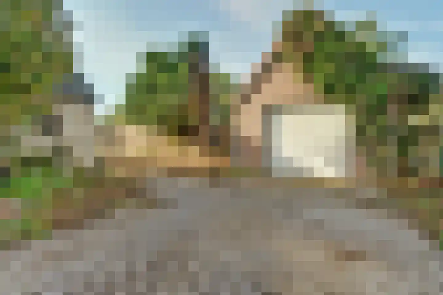Notarisappel 9 Elst thumbnail 6