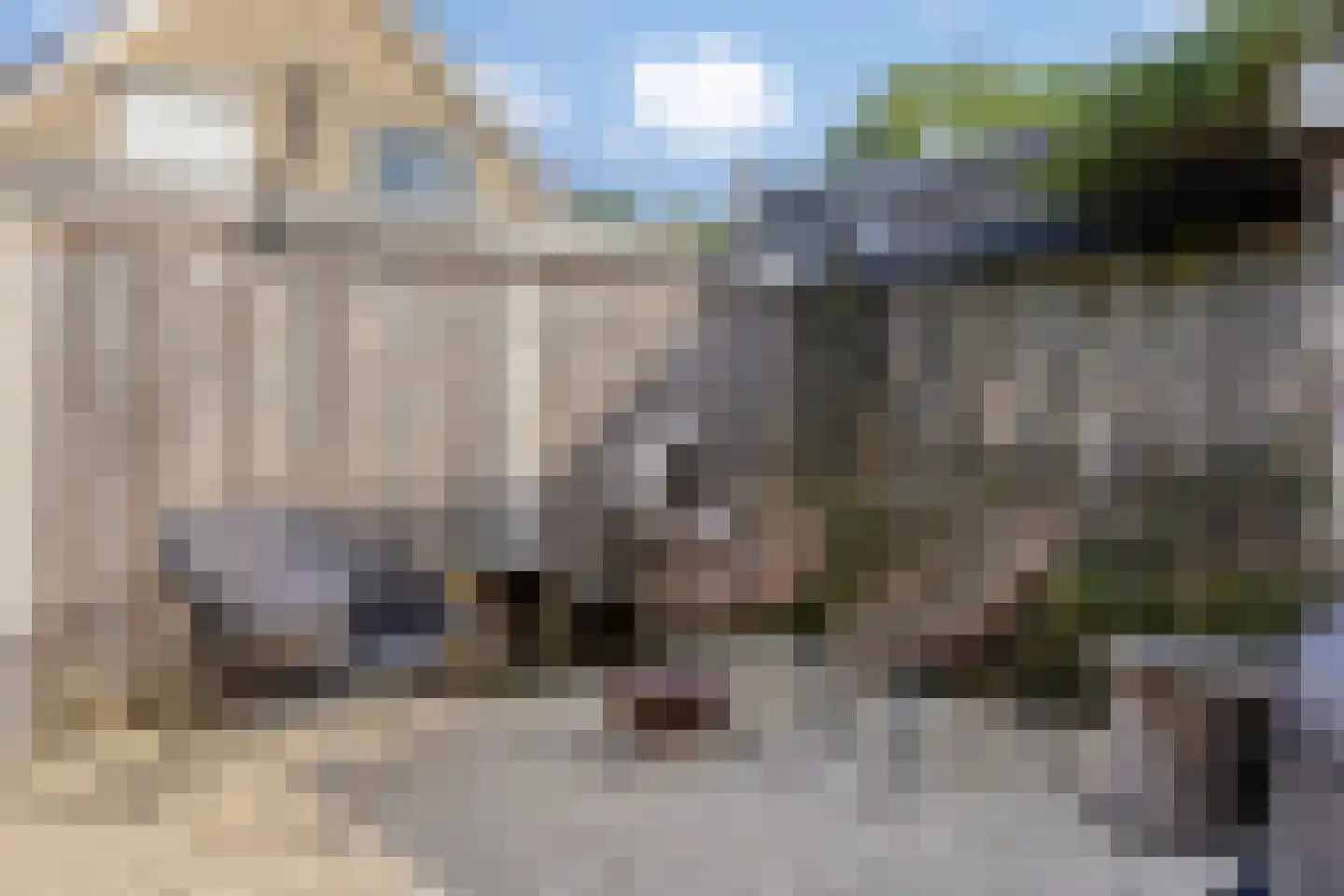 Notarisappelgaard 10 Arnhem thumbnail 29