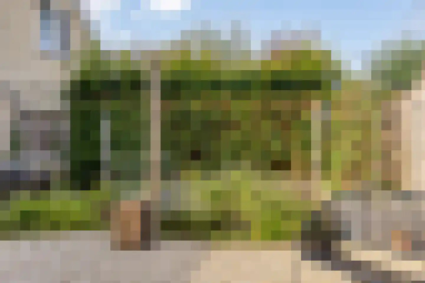 Notarisappelgaard 10 Arnhem thumbnail 32