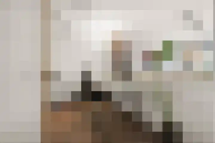 Notarisappelgaard 12 Arnhem thumbnail 12