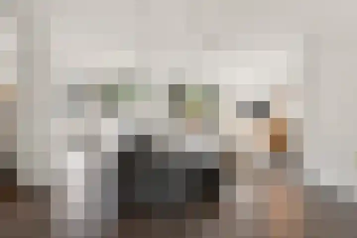 Notarisappelgaard 12 Arnhem thumbnail 13