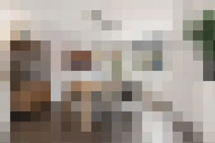 Notarisappelgaard 12 Arnhem thumbnail 14