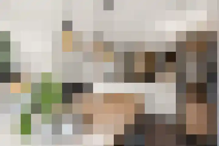 Notarisappelgaard 12 Arnhem thumbnail 16