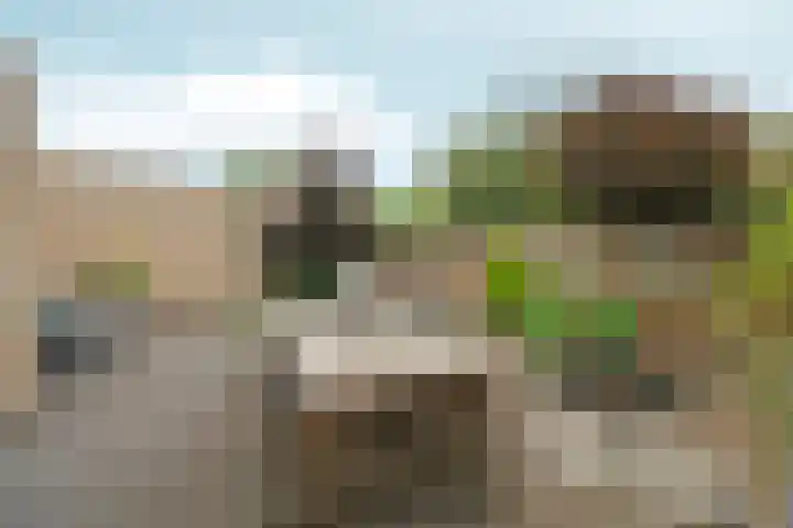 Notarisappelgaard 12 Arnhem thumbnail 17