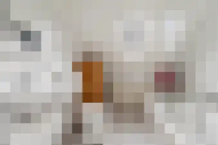 Notarisappelgaard 12 Arnhem thumbnail 27