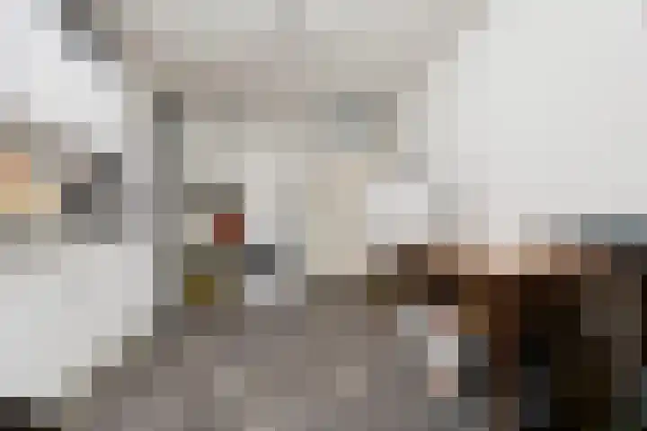 Notarisappelgaard 12 Arnhem thumbnail 30