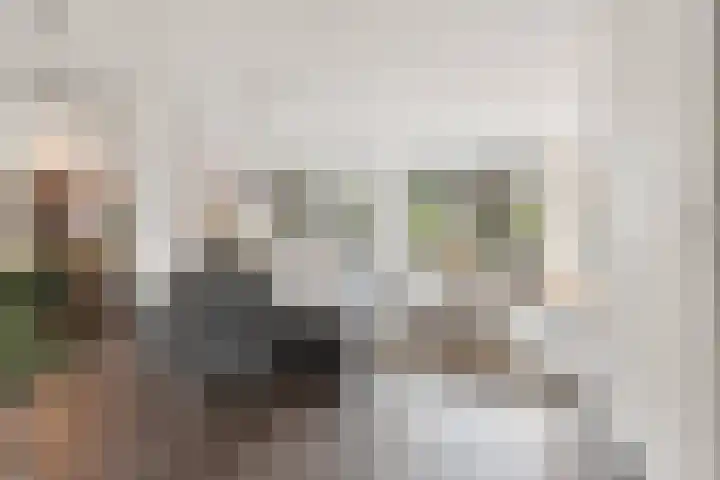 Notarisappelgaard 12 Arnhem thumbnail 9