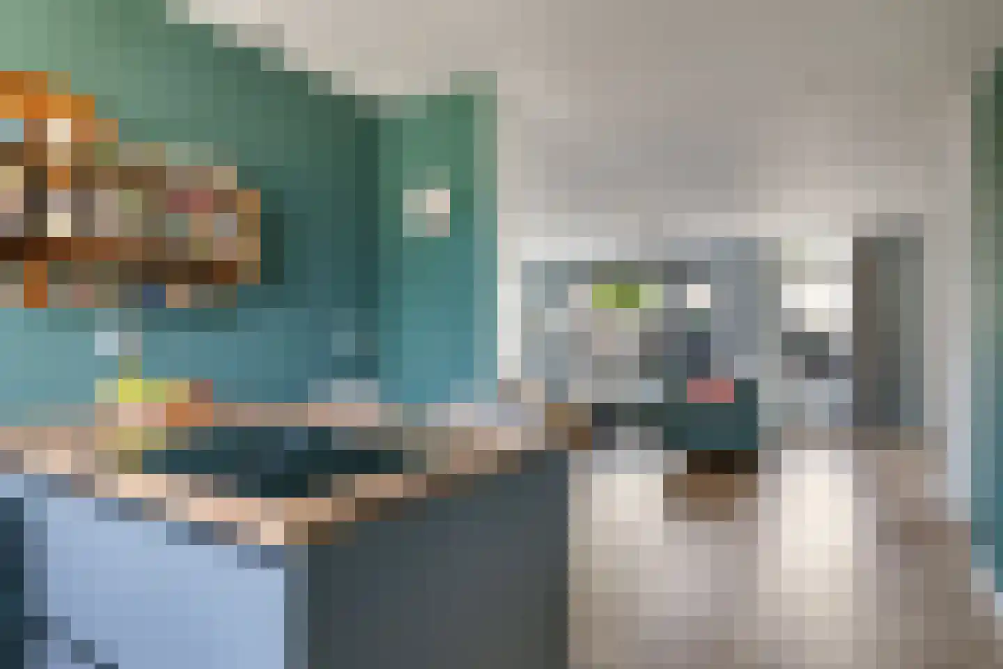 Notarisappelgaard 15 Arnhem thumbnail 19