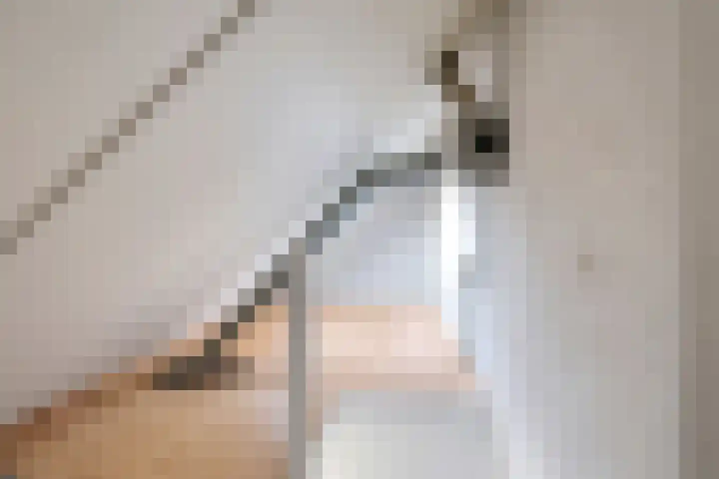 Notarisappelgaard 15 Arnhem thumbnail 31
