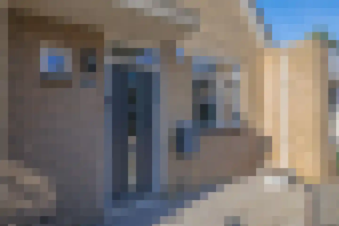 Notarisappelgaard 15 Arnhem thumbnail 6