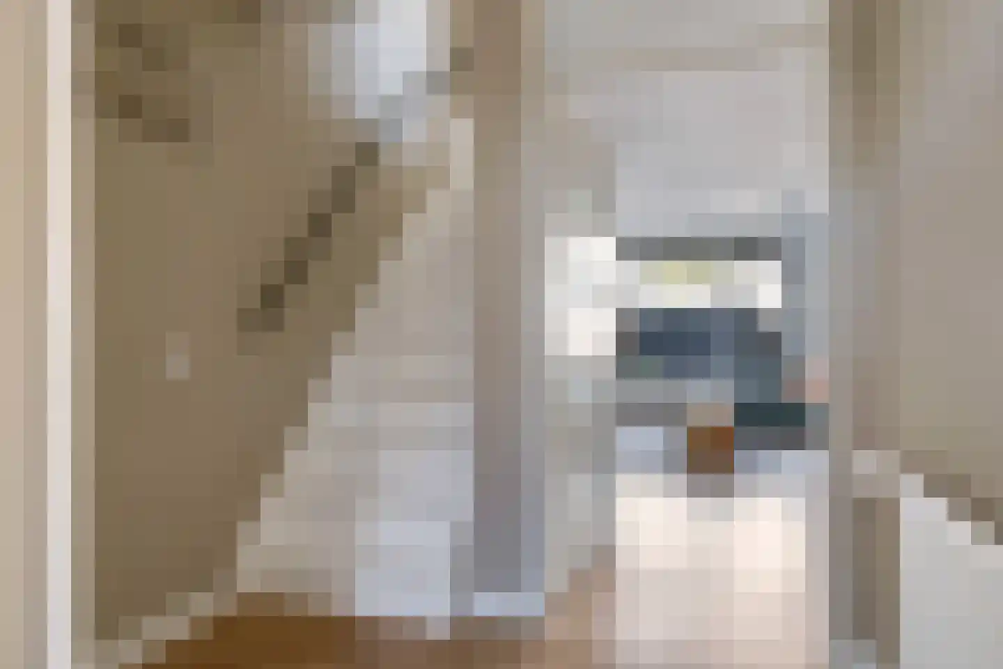 Notarisappelgaard 15 Arnhem thumbnail 7