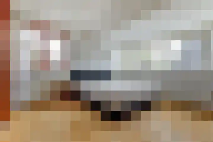Notarisappelgaard 6 Arnhem thumbnail 27