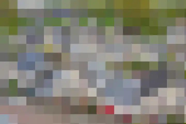 Notarisappelgaard 6 Arnhem thumbnail 41