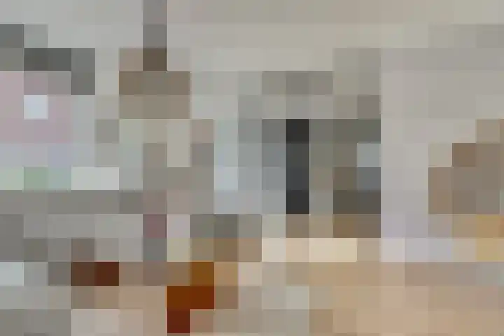 Notarisappelpad 10 Hoef en Haag thumbnail 11