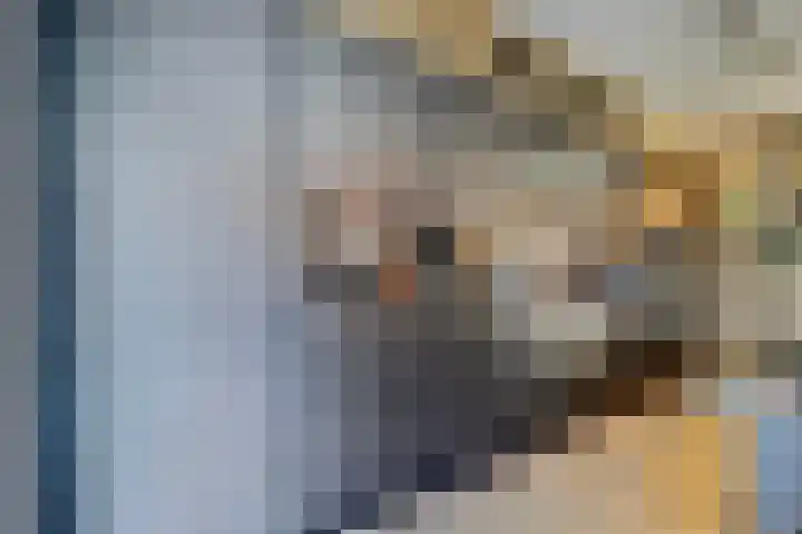 Notarisappelpad 10 Hoef en Haag thumbnail 15
